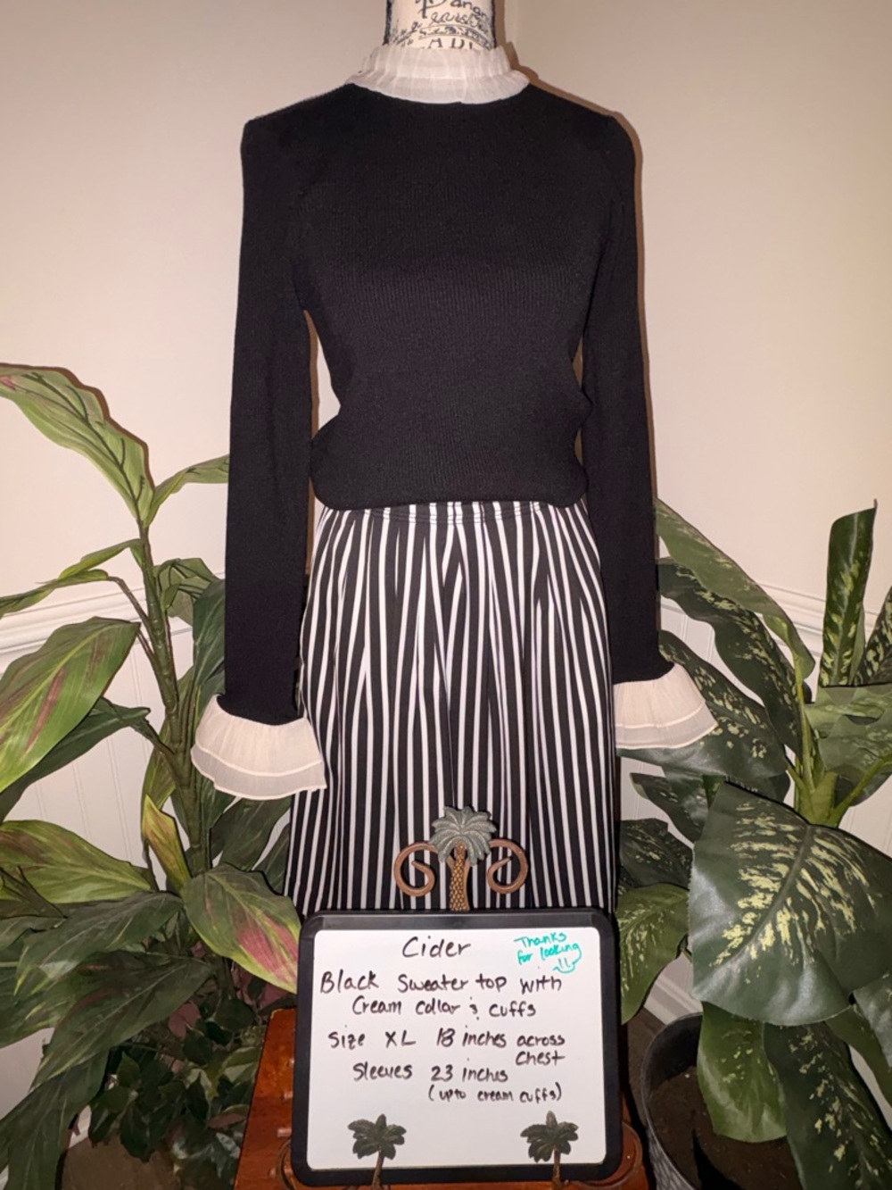 Cider Black Sweater Top With Cream Collar & Cuffs